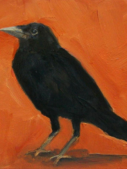Crow | Diamond Painting