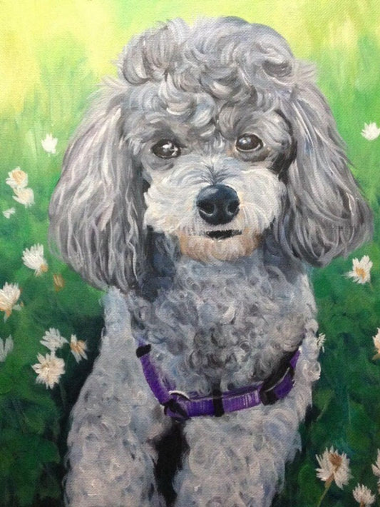 Poodle Dog | Diamond Painting