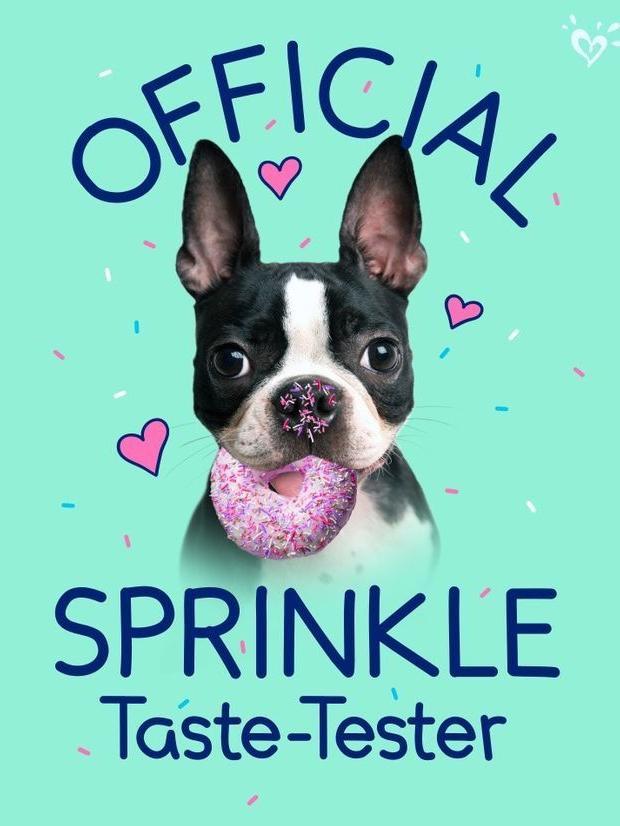Boston Terrier Dog | Diamond Painting