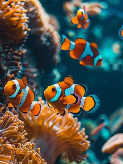 Clown Fish | Diamond Painting