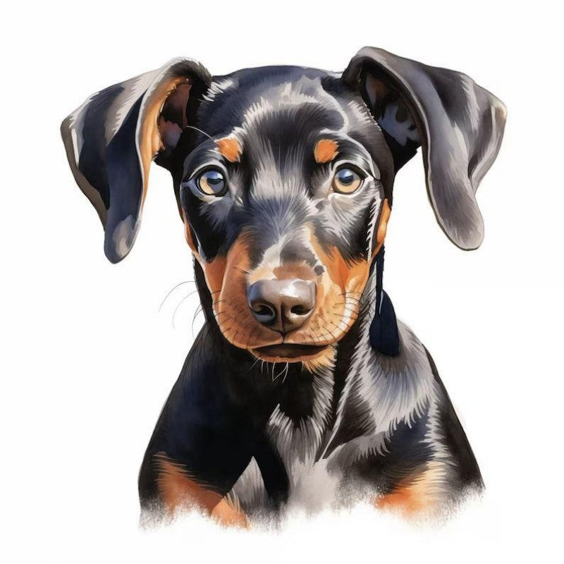 Dog Doberman | Diamond Painting