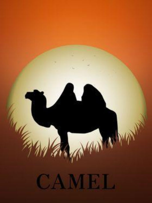 Camel | Diamond Painting