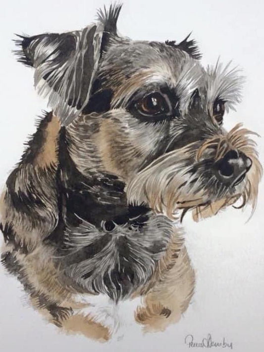 Dog Border Terrier | Diamond Painting