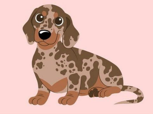 Dachshund Dog | Diamond Painting