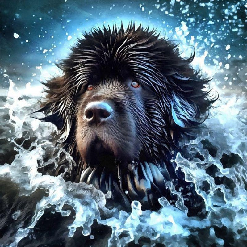 Newfoundland Dog | Diamond Painting
