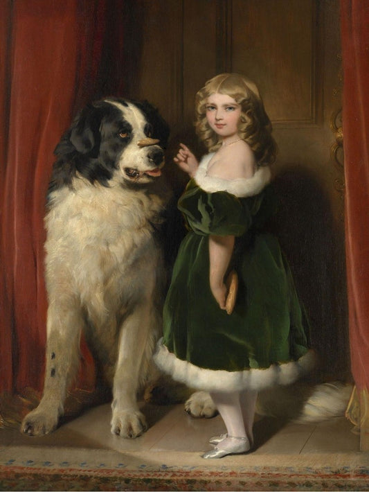 Newfoundland Dog | Diamond Painting