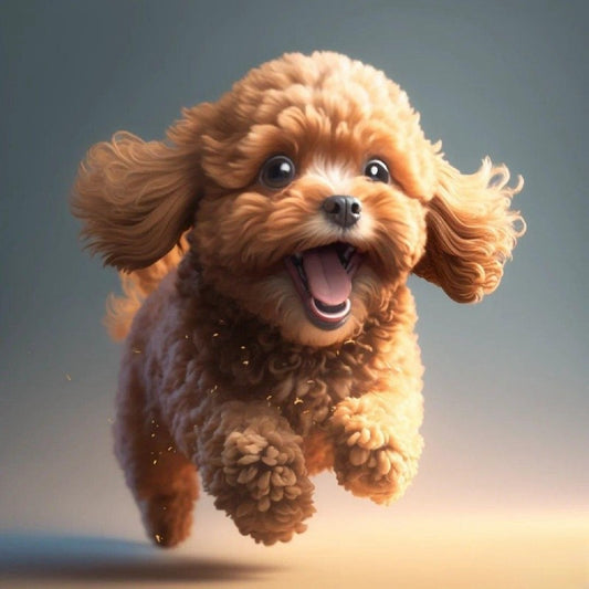 Poodle Dog | Diamond Painting