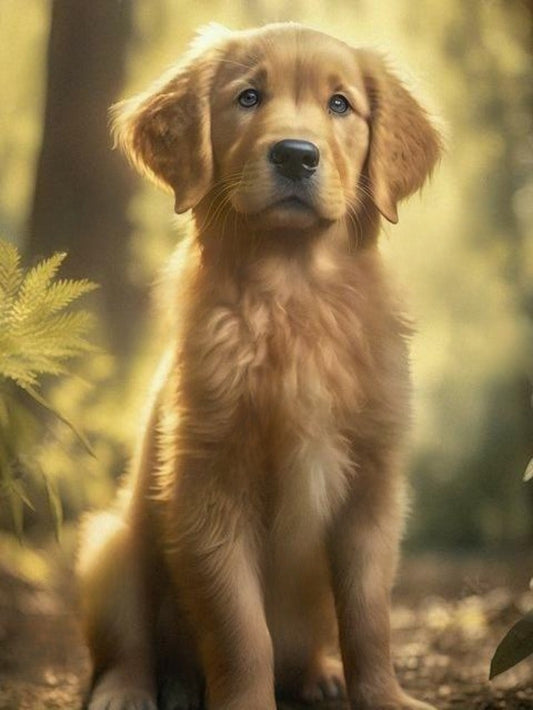 Golden Retriever Dog | Diamond Painting