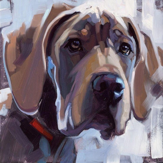 Dog Great Dane | Diamond Painting
