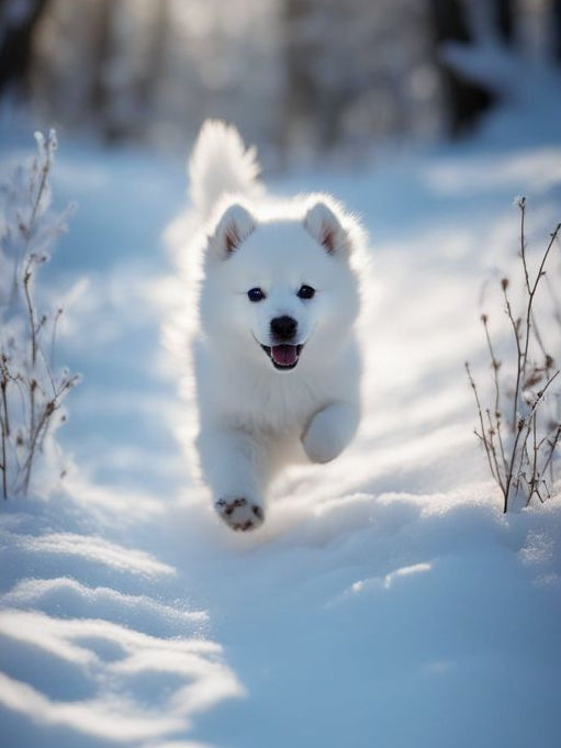 Husky Dog | Diamond Painting