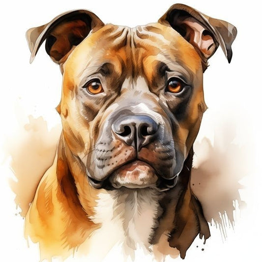 Dog Staffordshire Bull Terrier | Diamond Painting