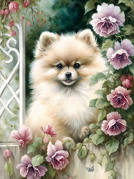 Pomeranian Dog | Diamond Painting