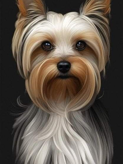 Dog Yorkie | Diamond Painting