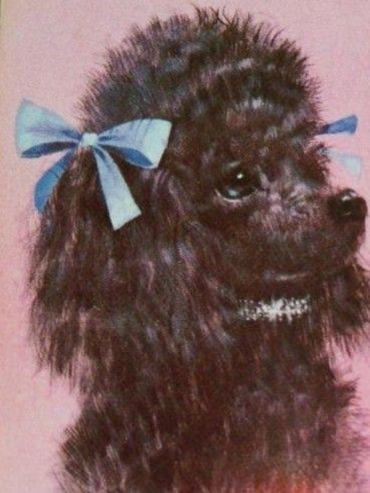 Poodle Dog | Diamond Painting