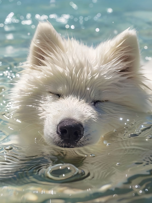 Samoyed Dog | Diamond Painting