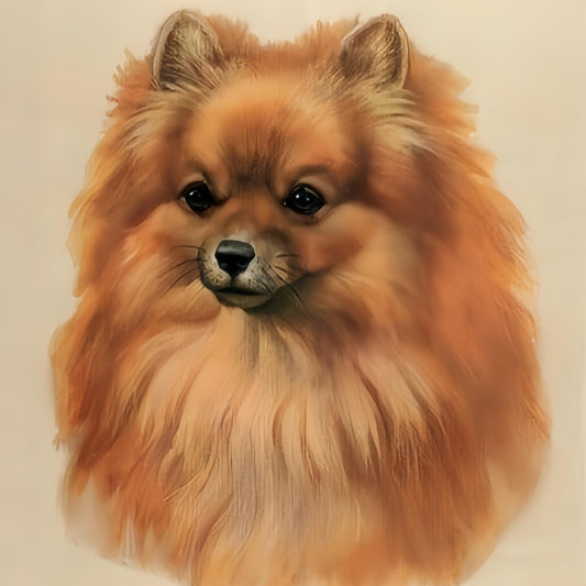 Pomeranian Dog | Diamond Painting