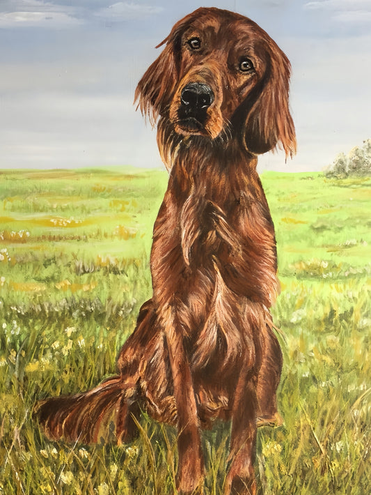 Irish Setter Dog | Diamond Painting