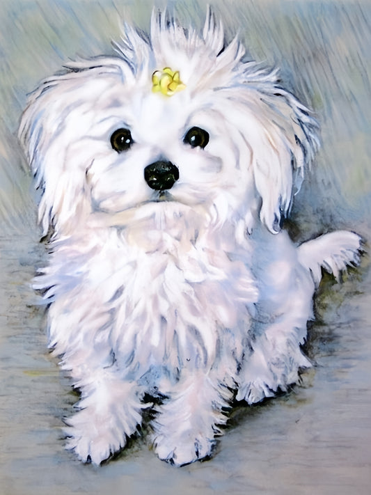 Maltese Dog | Diamond Painting