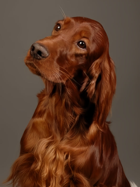 Irish Setter Dog | Diamond Painting