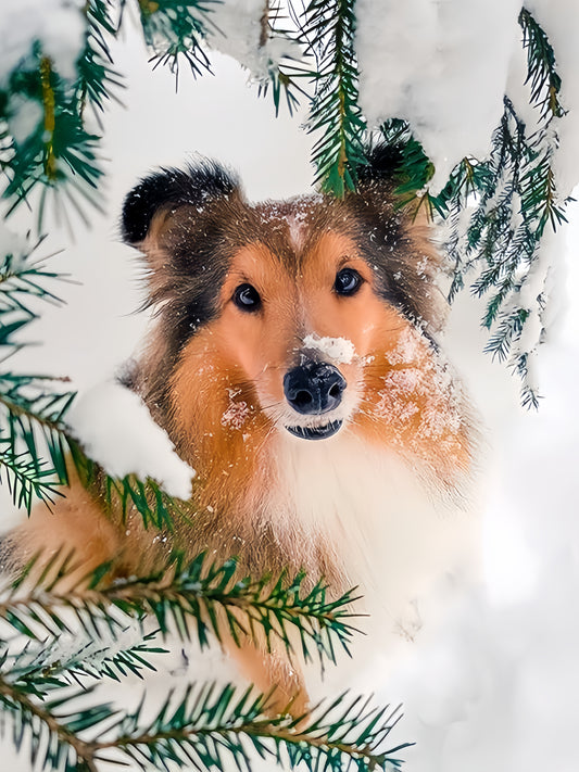 Sheltie Dog | Diamond Painting