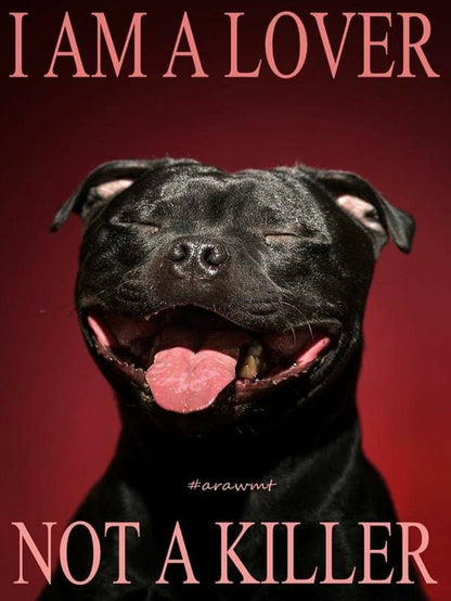 Dog Staffordshire Bull Terrier | Diamond Painting