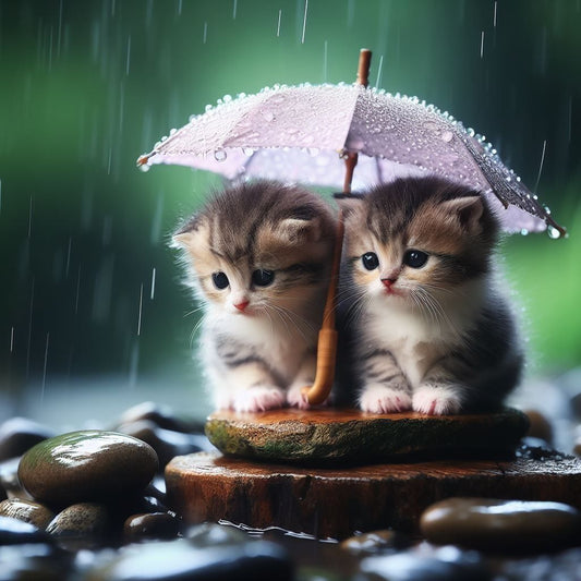 Raining Cat and Dog | Diamond Painting