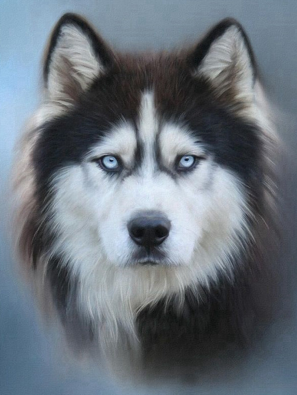 Husky Dog | Diamond Painting