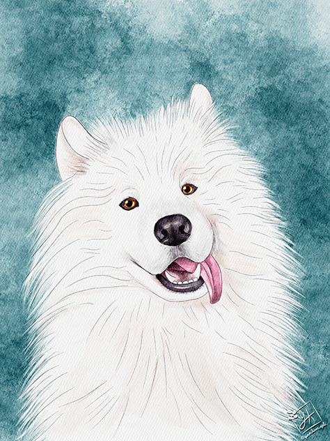 Husky Dog | Diamond Painting