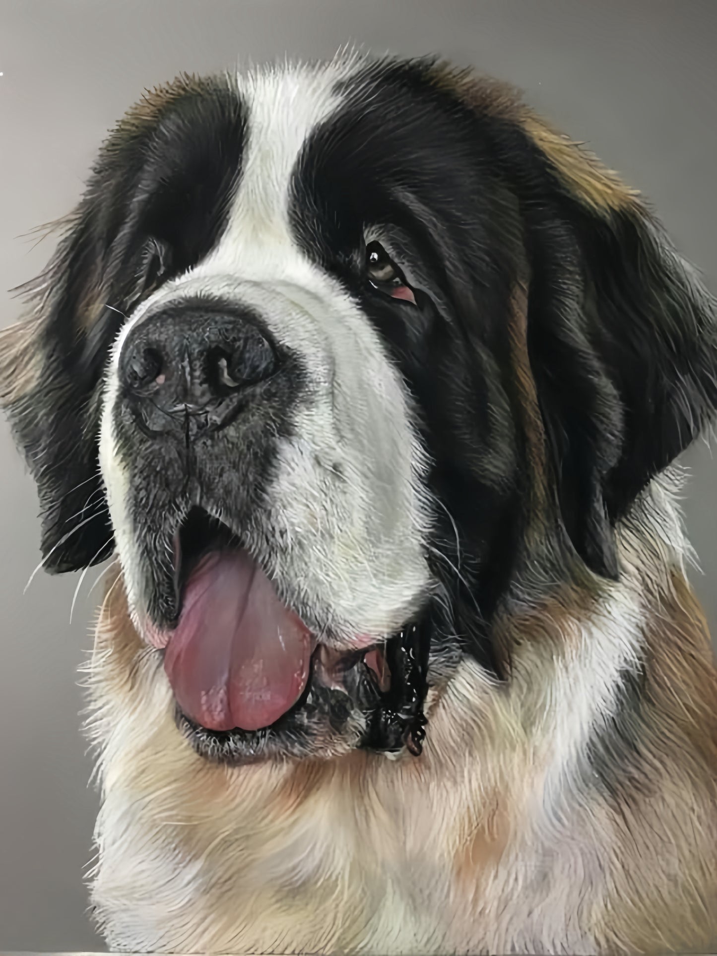 Saint Bernard Dog | Diamond Painting