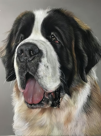 Saint Bernard Dog | Diamond Painting