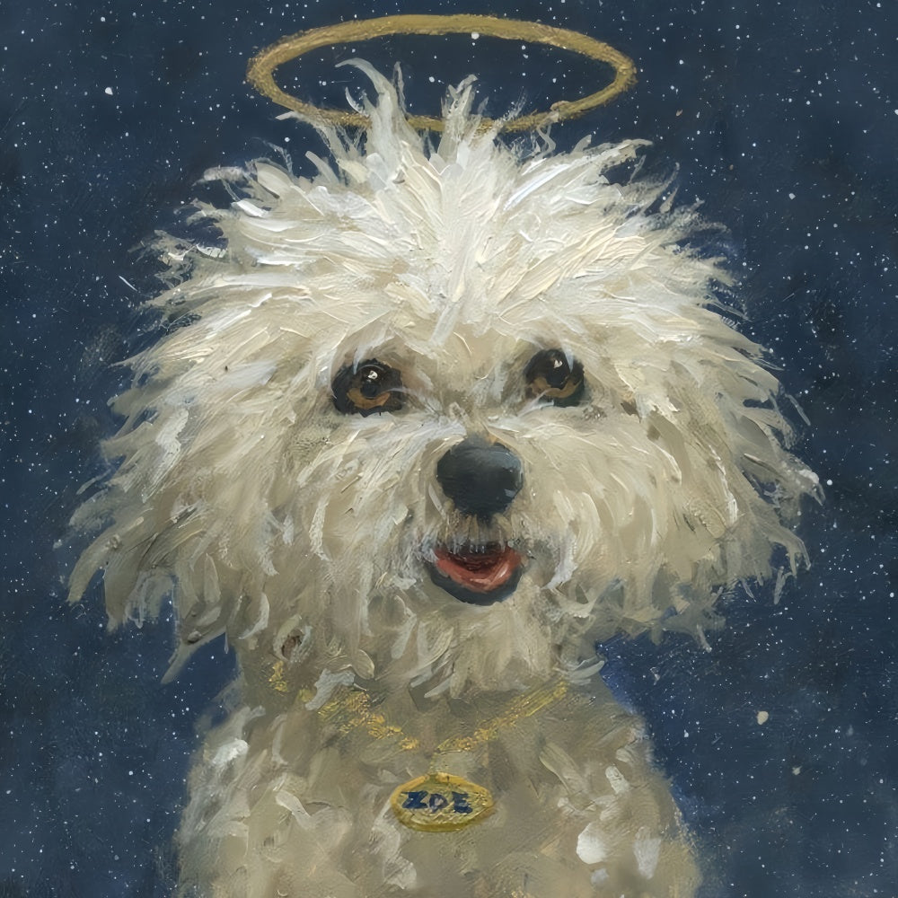 Maltese Dog | Diamond Painting