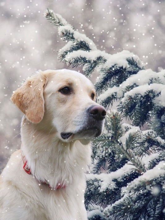 Christmas Dog | Diamond Painting