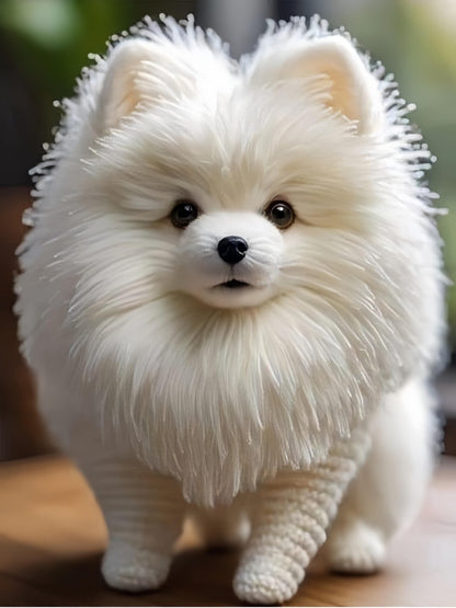 Pomeranian Dog | Diamond Painting