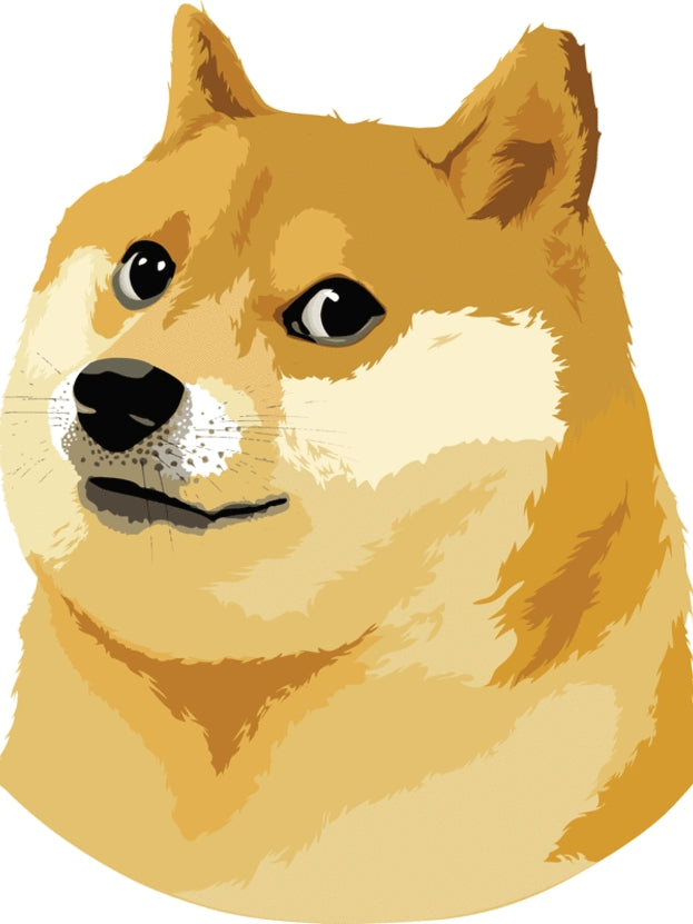 Shiba Inu Dog | Diamond Painting