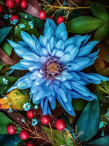 Flower | Diamond Painting