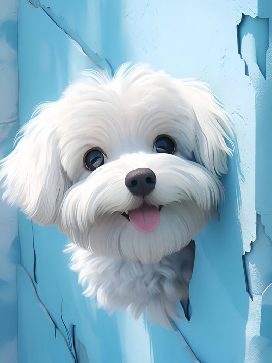 Maltese Dog | Diamond Painting