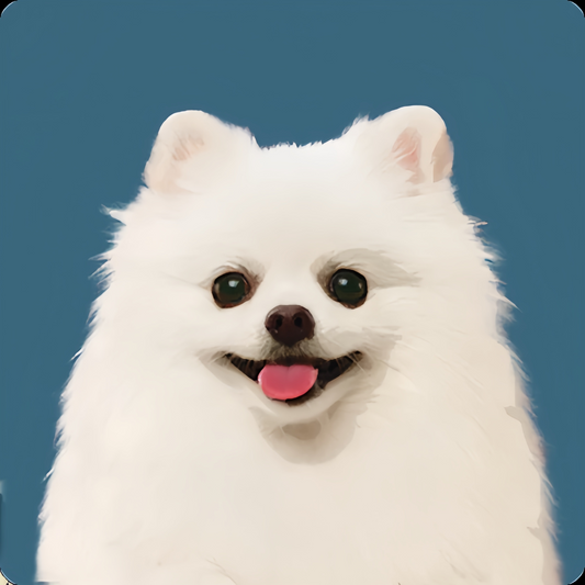 Pomeranian Dog | Diamond Painting
