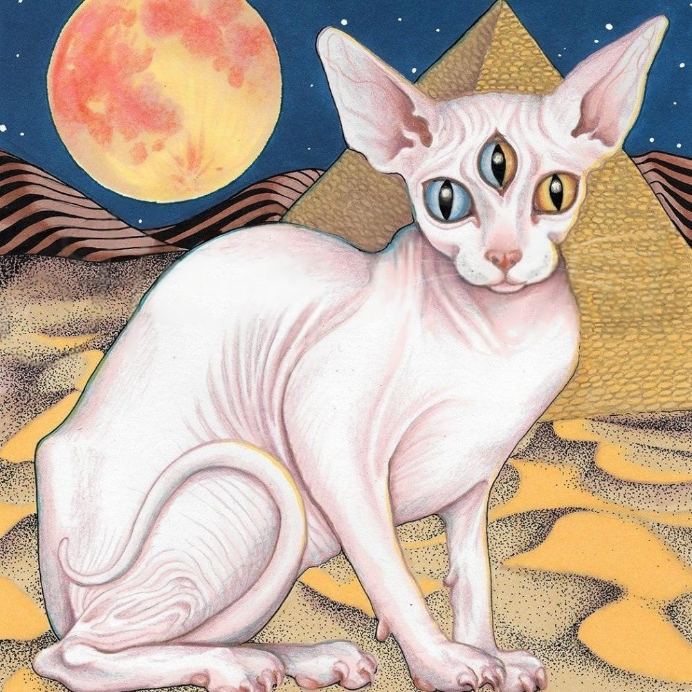 Sphynx Cat  | Diamond Painting