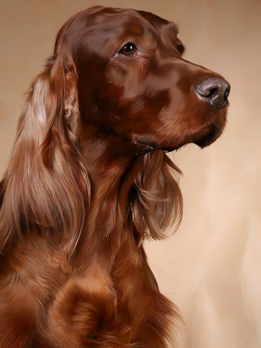 Irish Setter Dog | Diamond Painting