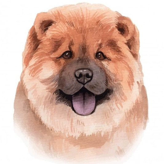 Dog Chow Chow | Diamond Painting