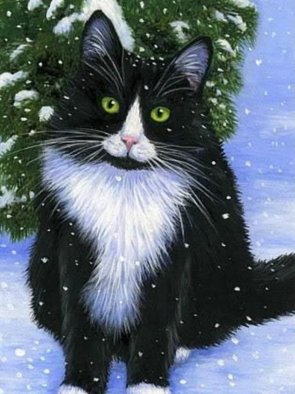 Tuxedo Cat  | Diamond Painting