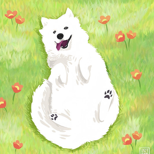 Samoyed Dog | Diamond Painting