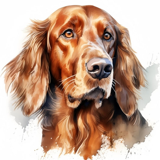 Irish Setter Dog | Diamond Painting