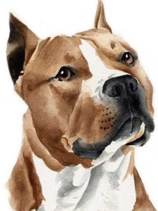 Dog Staffordshire Bull Terrier | Diamond Painting
