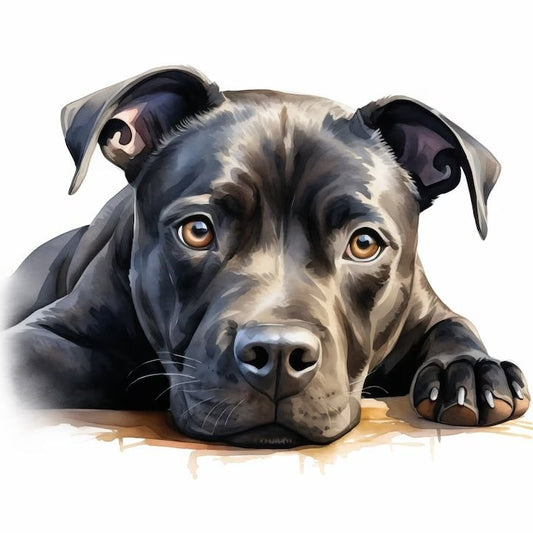 Dog Staffordshire Bull Terrier | Diamond Painting