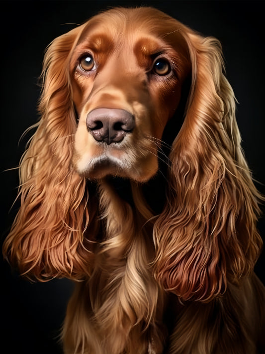 Irish Setter Dog | Diamond Painting