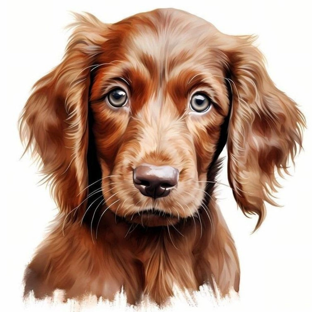 Irish Setter Dog | Diamond Painting