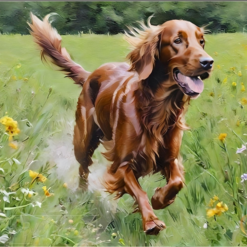 Irish Setter Dog | Diamond Painting