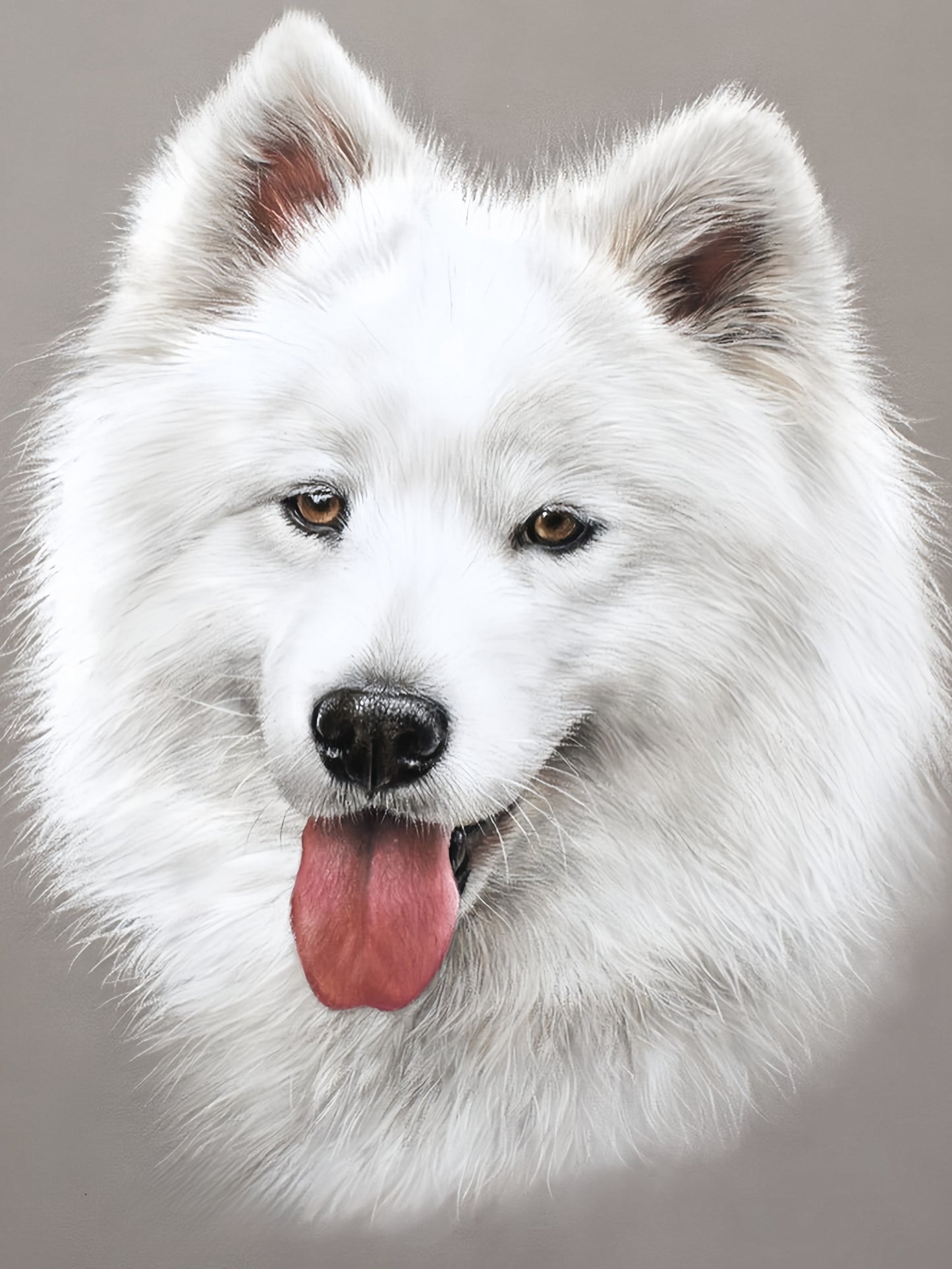 Samoyed Dog | Diamond Painting
