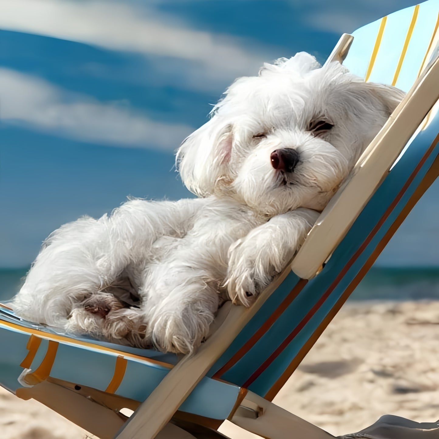 Maltese Dog | Diamond Painting